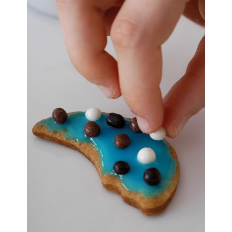 décoration de petits sablés